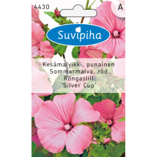 Lavatera trimestris Silver Cup, kesämalvikki, ruusunpunainen