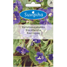 Phacelia campanularia, kellohunajakukka, sininen 