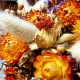 Dried flowers and Ornamental grasses
