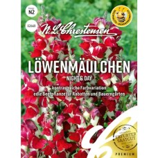 Antirrhinum majus, Leijonankita Night & Day NEW! PREMIUM