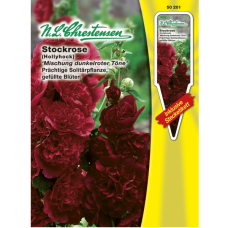 Alcea rosea, Hollyhock, Mixture of dark red colors. SALE - 40%!