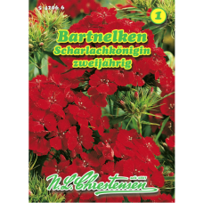 Dianthus barbatus, harjaneilikka, Scarlet Queen, sekoitus