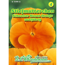 Viola wittrockiana, Tarhaorvokki 'Shhweizer Riesen Orange'