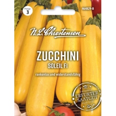 Kesäkurpitsa Zucchini Soleil F1 (Cucurbita pepo), NEW! Kesäkurpitsa Zucchini Soleil F1 (Cucurbita pepo), NEW!