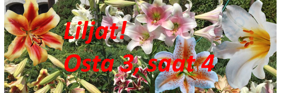 Keväällä istutettavat