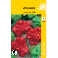 Hot Pepper Jamaican Bell. SALE - 25%!