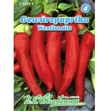 Chilipaprika 'Westlandia' (Capsicum annuum)