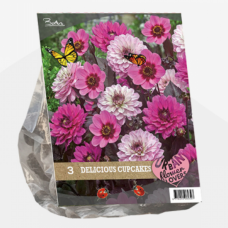 Urban Flowers -  Delicious Cupcakes, Daalia, 3 kpl 