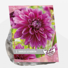 Urban Flowers - Le Baron per 1б 3l- astiataimi  