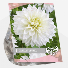 Urban Flowers - Fleurel, Daalia,1kpl 