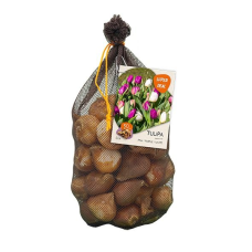 Darwinhybriditulppaani, (Tulipa Darwin) mix pinkki/violetti/valkoinen, 30 kpl 