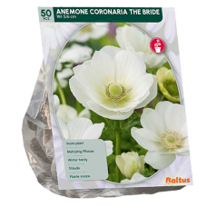 Anemone Coronaria, Kruunuvuokko The Bride, 50 kpl  