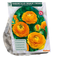 Gotlanninleinikki, Ranunculus, oranssi, 15 kpl.