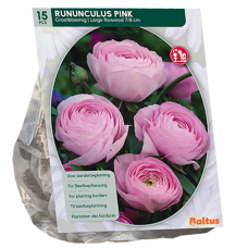 Gotlanninleinikki (Ranunculus) Rose, 15 kpl 