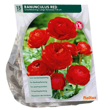 Gotlanninleinikki, Ranunkulus punainen, 15 kpl