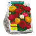 Gotlanninleinikki (Ranunculus) Giant, Sekoitus, 15 kpl