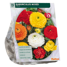 Gotlanninleinikki (Ranunculus) Giant, Sekoitus, 15 kpl