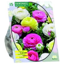 Ranunculus Pastel Mix per 15