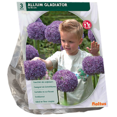Jättilaukka (Allium) 'Gladiator His Excellence', 3 kpl.