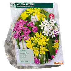 Laukka (Allium) Sekoitus, 100 kpl