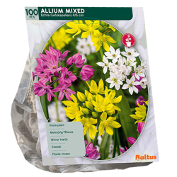 Laukka (Allium) Sekoitus, 100 kpl ALE - 70%! Laukka (Allium) Sekoitus, 100 kpl ALE - 70%!