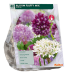 Koristelaukka, Allium Fluffy Mix, 40 kpl. NEW!