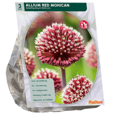 Laukka, Allium Red mohican, 3 kpl
