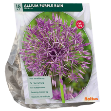 Laukka, Allium Purple Rain,15 kpl