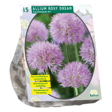 Kerälaukka (Allium carolinianum) 'Rosy Dream', 15 kpl. NEW! TUO9TE ON LOPPUNMYYTY!