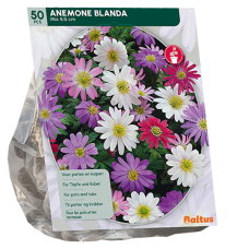 Balkaninvuokko (Anemone Blanda), Sekoitus. 50 kpl.