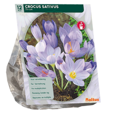 Crocus Sativus, Maustesahrami, 12 kpl. 