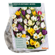 Krookus (Crocus) Species or Botanical, Sekoitus, 60 kpl. 
