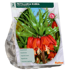 Fritillaria Imperialis Rubra, Keisarinpikarililja 2 kpl.