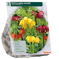 Keisarinpikarililja (Fritillaria Imperialis), Sekoitus, 3 kpl. TUOTE ON LOPPUUNMYYTY!