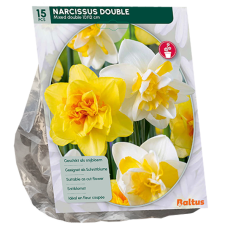 Tähtinarsissi  (Narcissus), Sekoitus, 15 kpl.