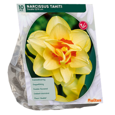 Kerrannaiskukkainen tähtinarsissi (Narcissus) Tahiti, 10 kpl. 