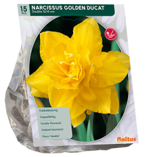 Pääsiäislilja 'Golden Ducat' (Narcissus), kerrattu, 15 kpl. TUOTE ON LOPPUUNMYYTY!