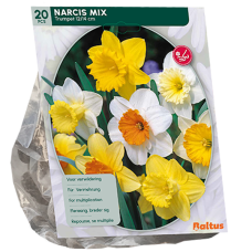 Narsissit, Sekoitus (Narcissus), 15 kpl. 