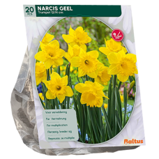Narcis Trompet, Pääsiäislilja eli narsissi, 15 kpl. 
