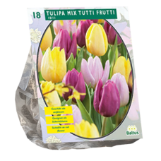 Tulppaani, Tulipa Mix Tutti Frutti,18 kpl. TUOTE ON LOPPUUNMYYTY!