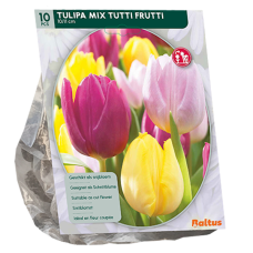 Tulppaani, Tulipa Mix Tutti Frutti,10 kpl