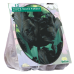 Papukaijatulppaani, Tulipa Black Parrot, Parkiet, 12 kpl