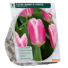 Tulppaani (Tulipa) Mandy's Choice, 9 kpl New!