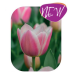 Tulppaani (Tulipa) Mandy's Choice, 9 kpl New!