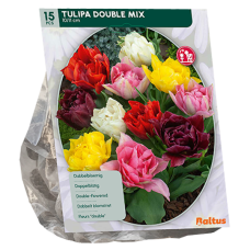 Kerrattu tulppaani, varhainen (Tulipa) Sekoitus, 15 kpl