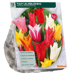Liljatulppaani, Tulipa Lily-flowered, sekoitus 15 kpl. ALE - 60%!