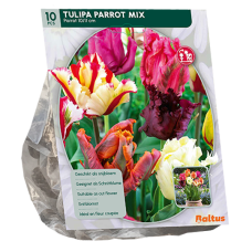 Papukaijatulppaani (Tulipa), Parrot, Sekoitus, 10 kpl.