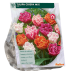 Ripsureunatulppaanit, Kerrotut tulppaanit, Mix, 10 kpl NEW!