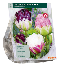 Kerrattu tulppaani (Tulipa) Ice Cream Mix, 5 kpl NEW!