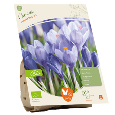 BIO - Kevätsahrami, Crocus Flower Record, 10 kpl NEW!